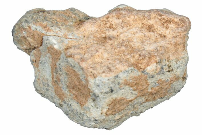 Lunar Meteorite Fragment ( g) - NWA #304131